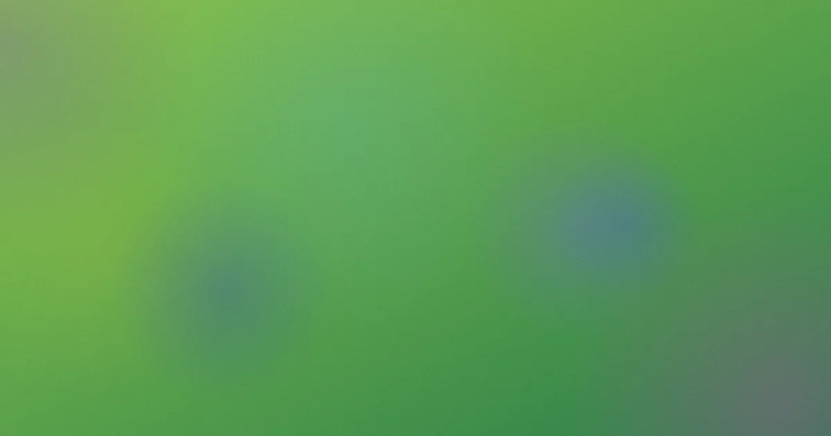 惩罚动漫是什么？逐项说清